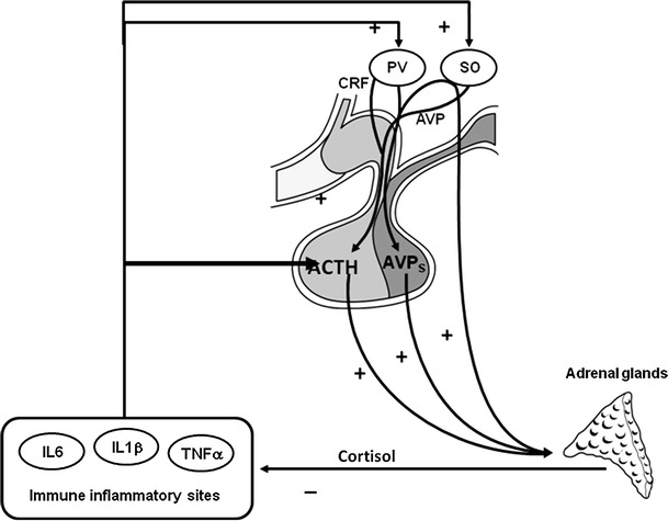 Fig. 2