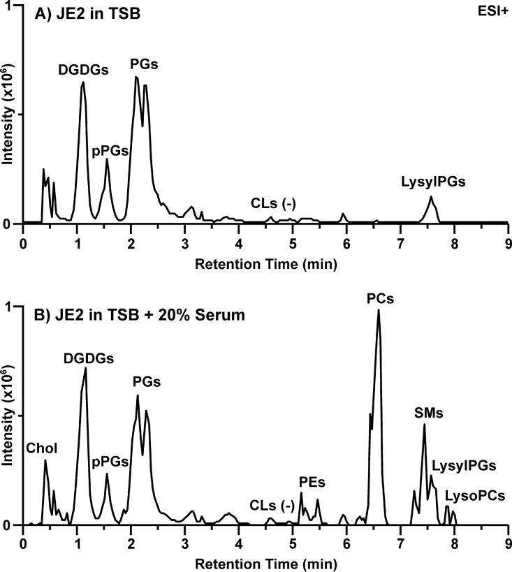 FIG 2