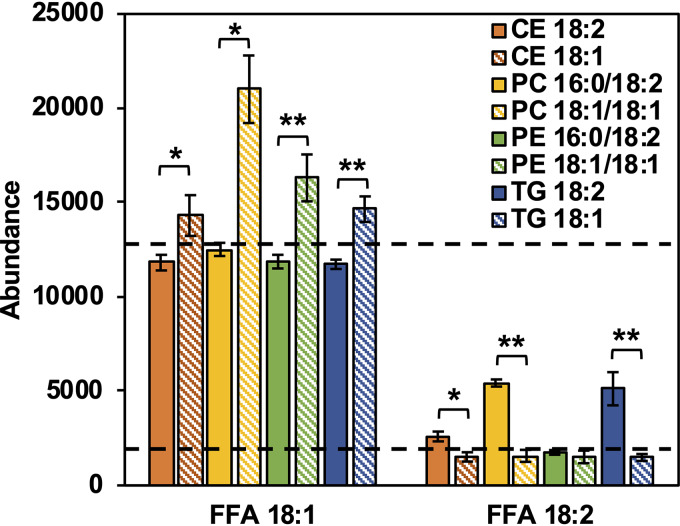 FIG 8