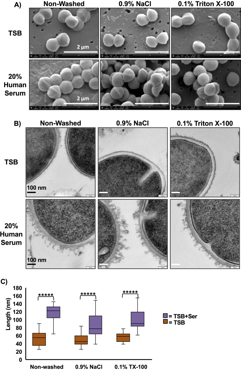 FIG 6