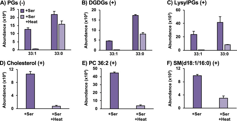 FIG 4