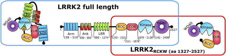 Fig. 1.