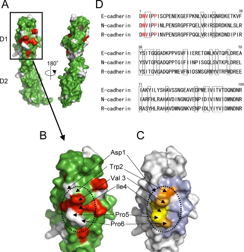 FIGURE 2.