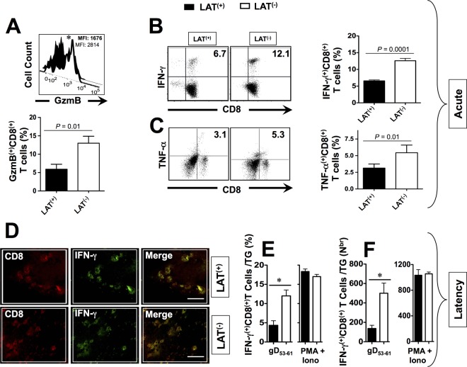 FIG 6