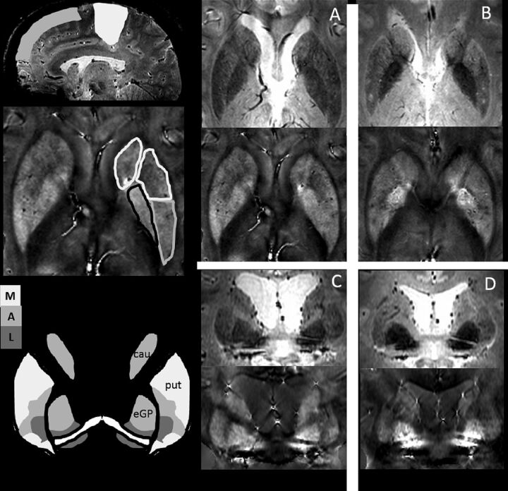 Fig 2.