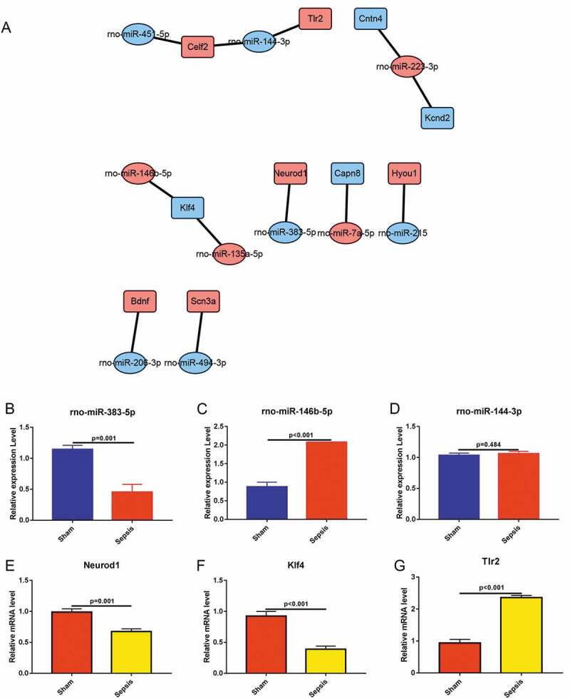 Figure 5.