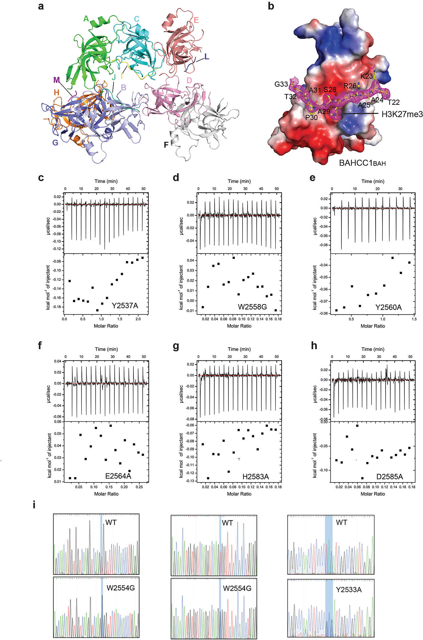 Extended Data Fig. 4|