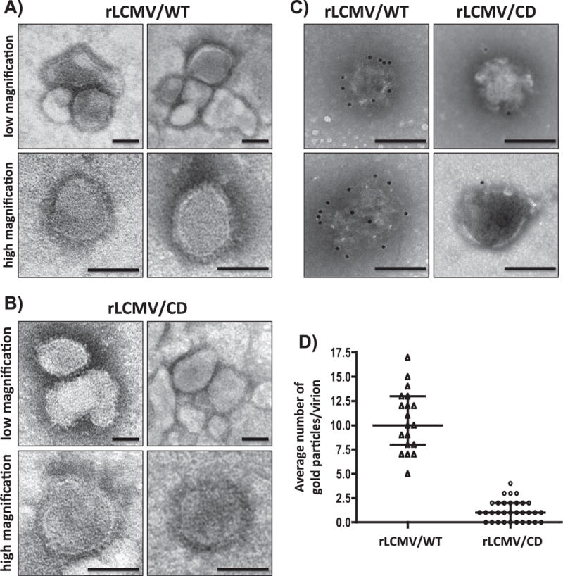 Fig. 5