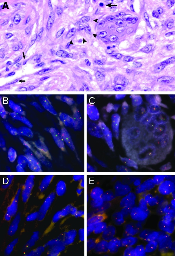 Figure 1-4307