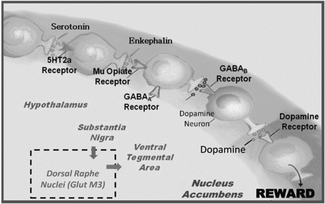 Fig. 1.