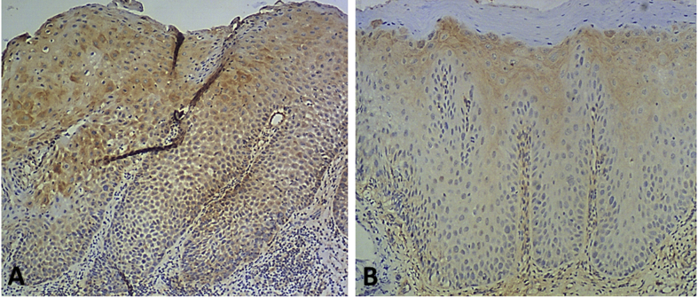 Fig. 4