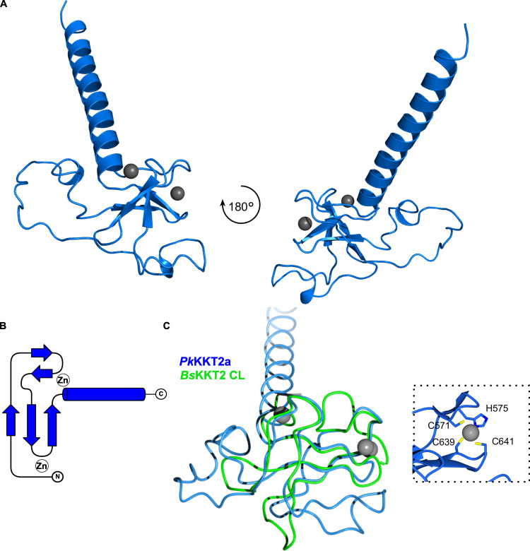 Figure 7.