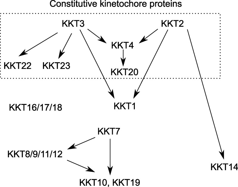 Figure 10.