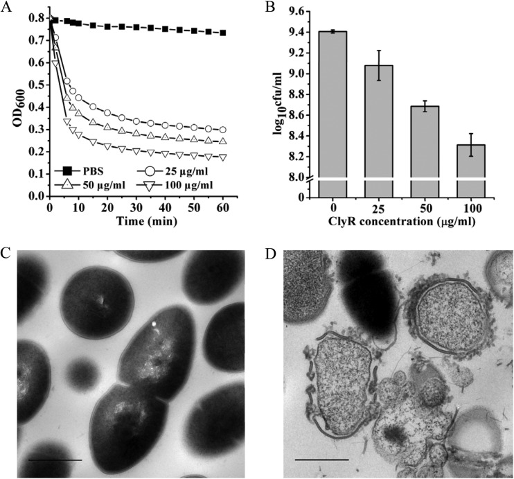 FIG 1