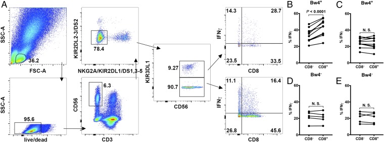 Fig. 4.