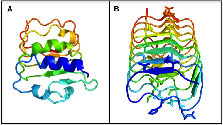 Fig 2