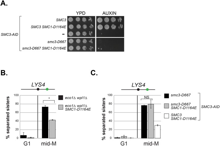 FIGURE 6: