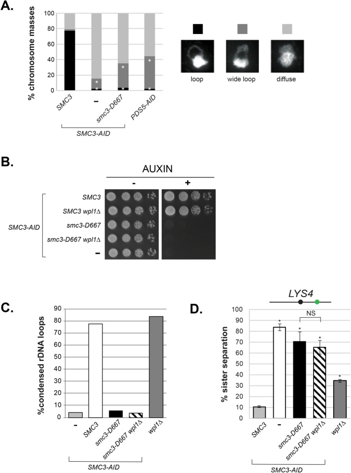 FIGURE 7: