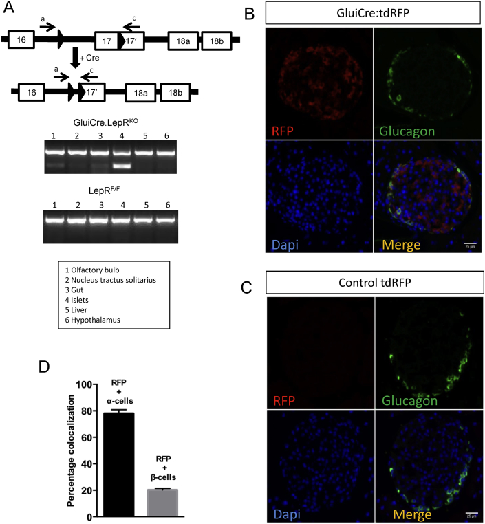 Figure 6