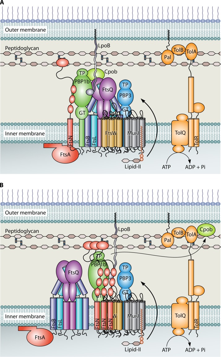 FIG 1