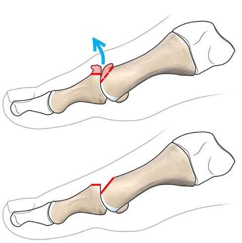 Figure 1.