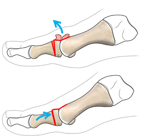 Figure 2.