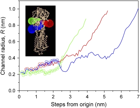 FIGURE 6