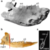 Fig. 13