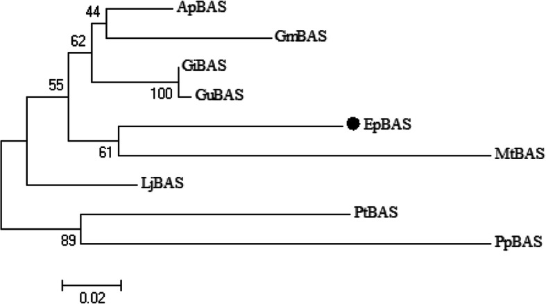 Fig. 6