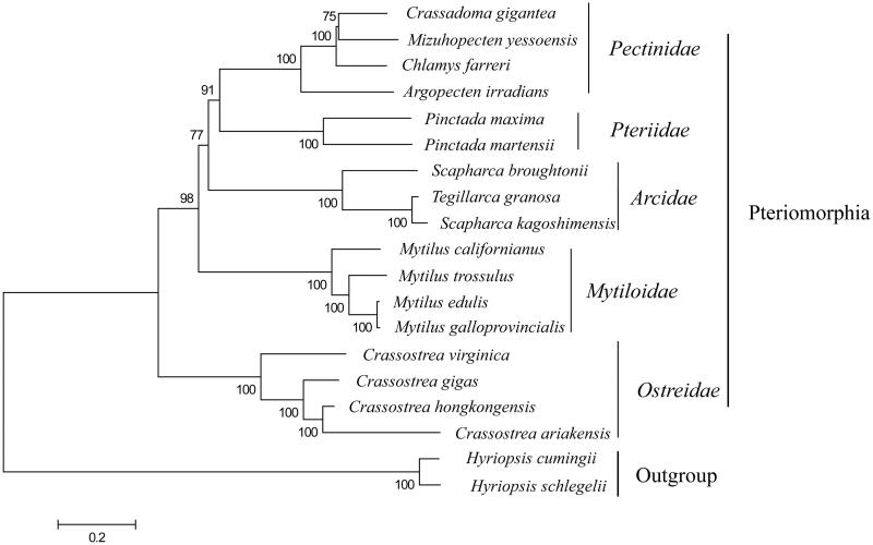 Figure 1.