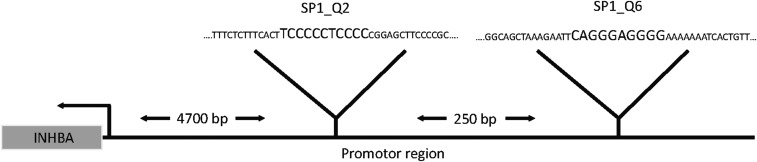 Fig. S6.