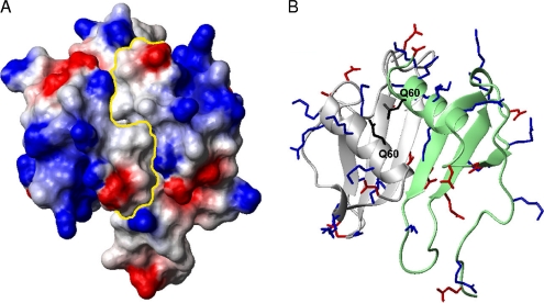 Fig. 8.