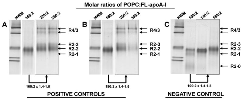 FIGURE 3