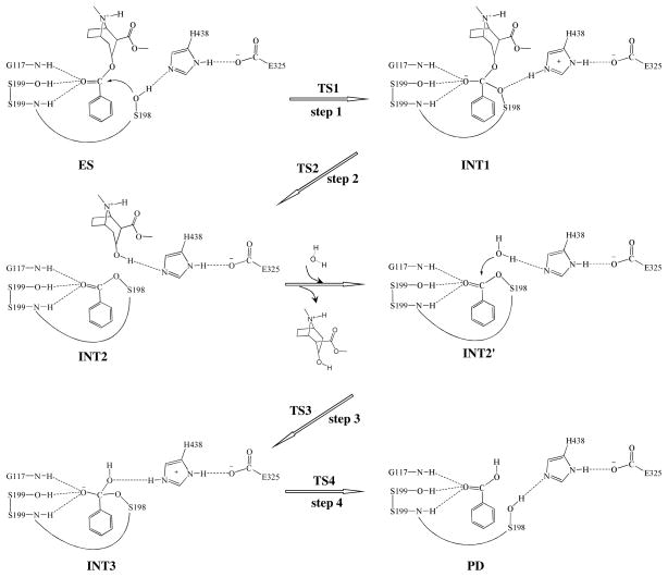 Scheme 1