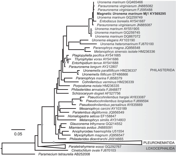 FIG 4