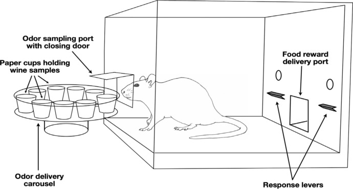Fig. 1