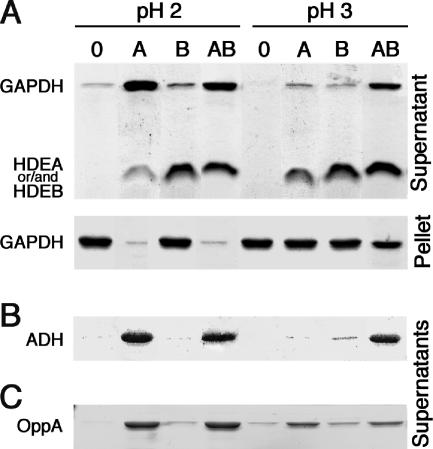 FIG. 5.