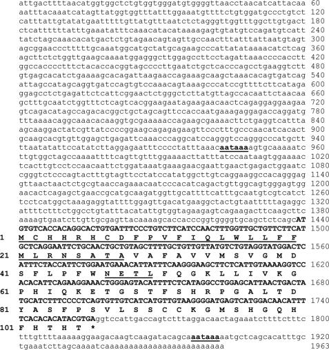 FIGURE 3.