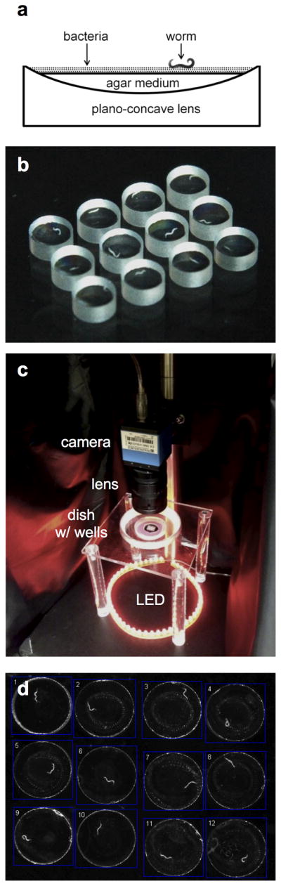 Fig. 1