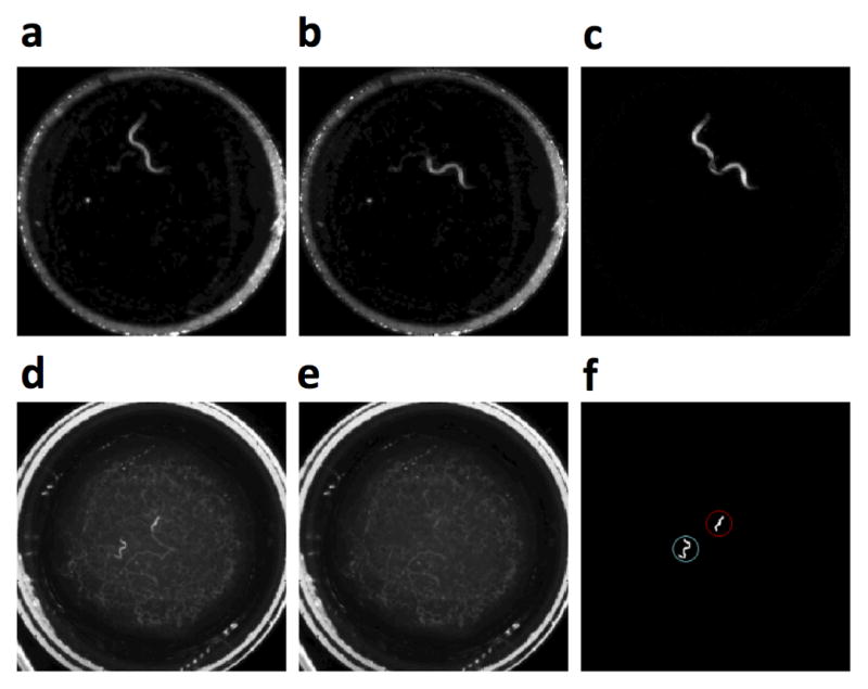 Fig. 2