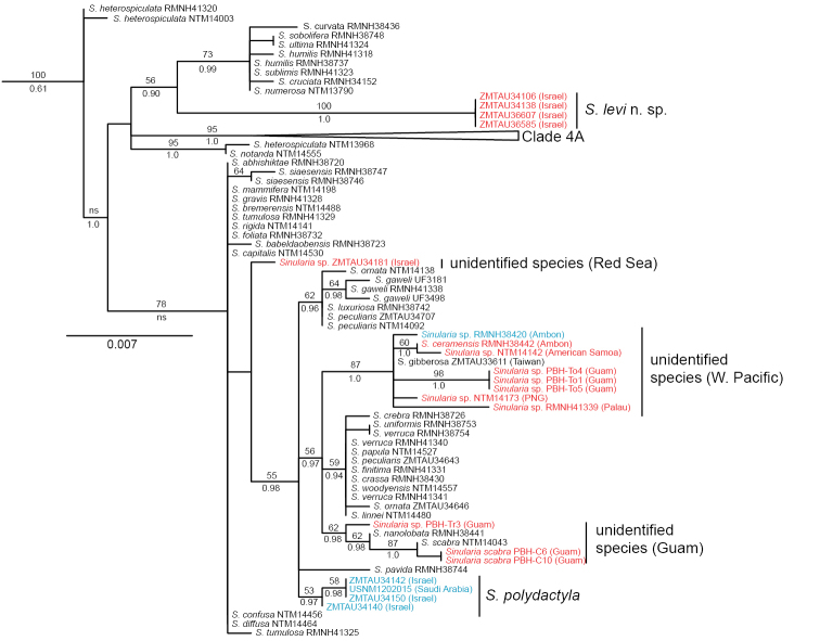 Figure 1.