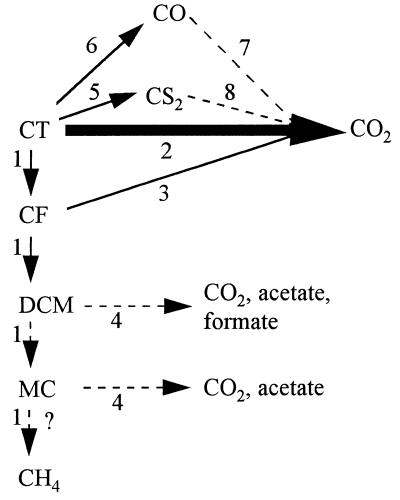 FIG. 5