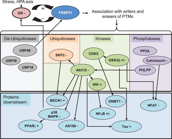 Figure 2.