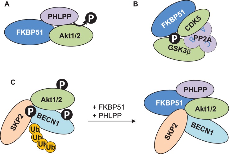 Figure 1.