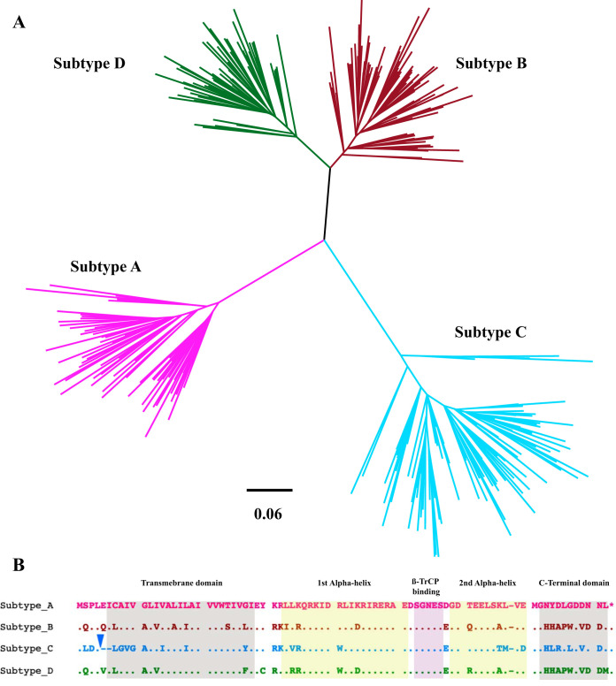 FIG 1