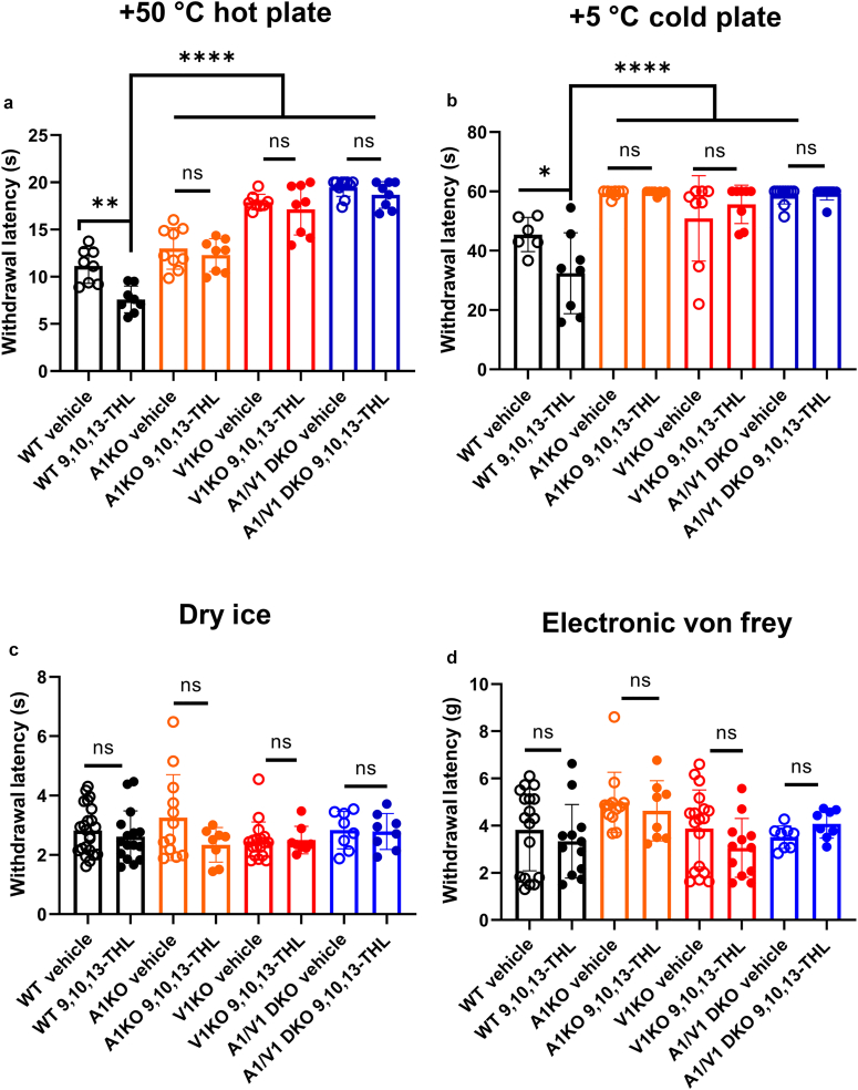 Figure 6