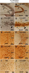 Figure 11.