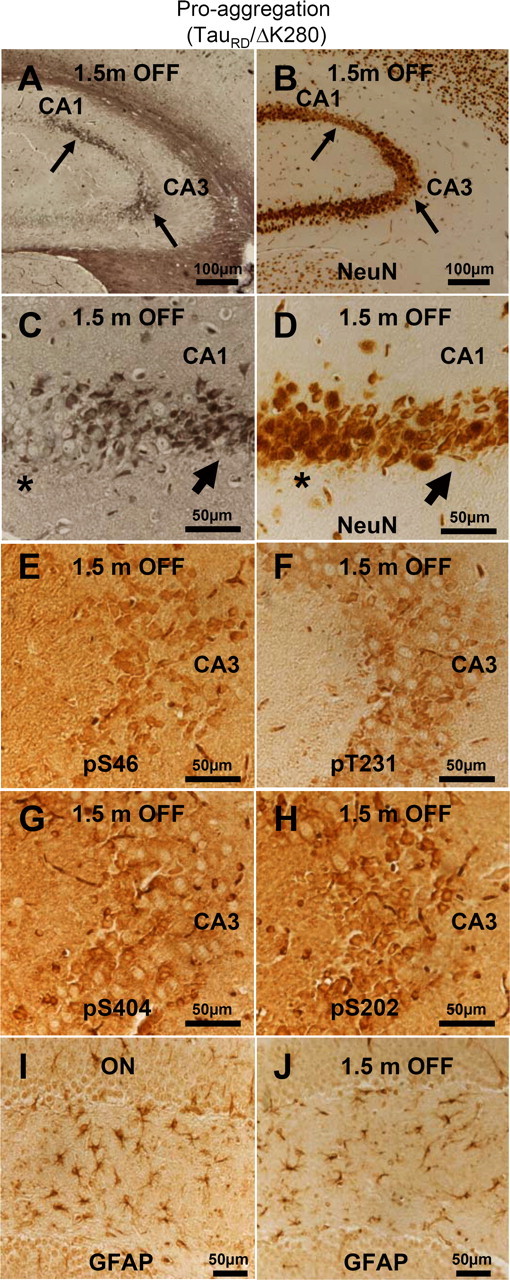 Figure 11.