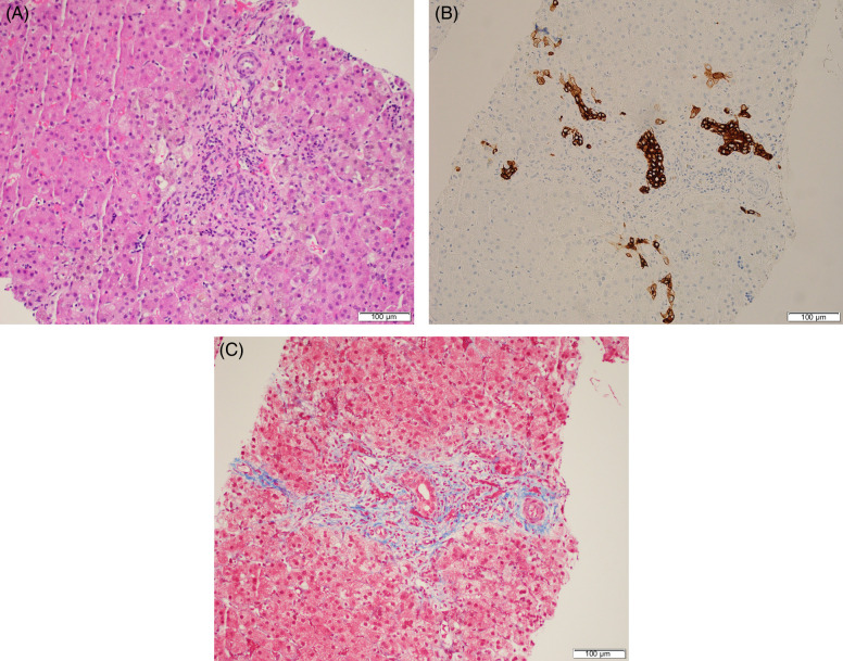 FIGURE 2