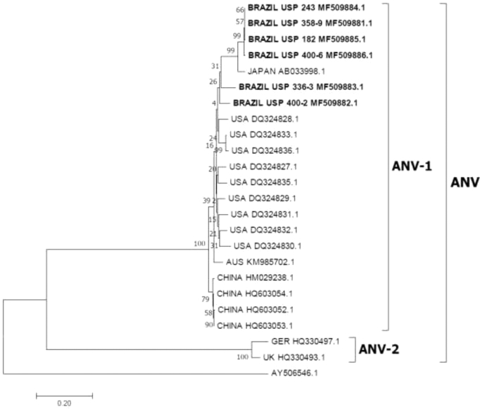 Figure 2.